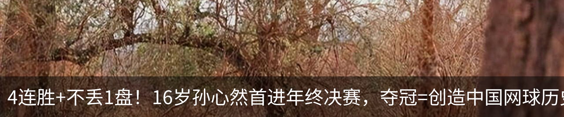 资讯动态